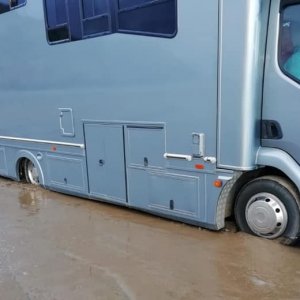 horse-box-2.jpg