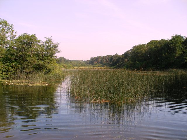 A huge fresh water lake deep in the forest that we would not have found without an OS map.