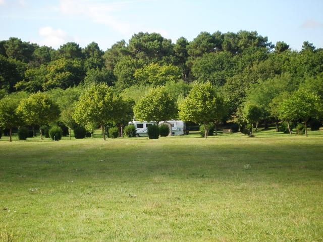 A very large site on the edge of the forest