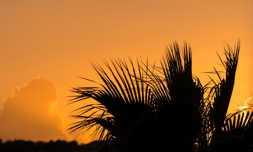 Algarve Sunset