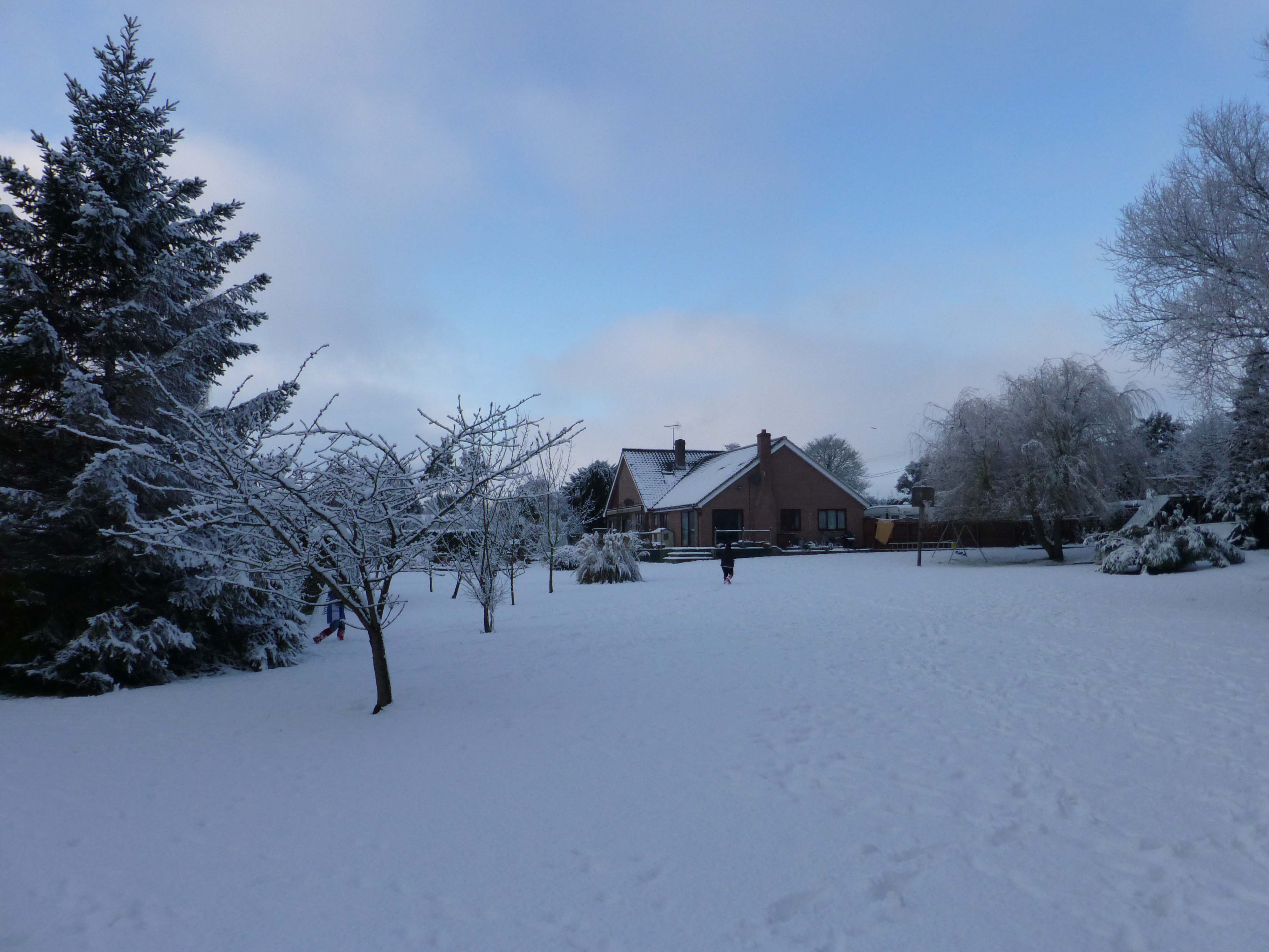 Almost Christmas Card