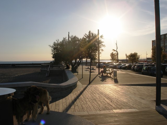 Beautiful at Cap D'agde.