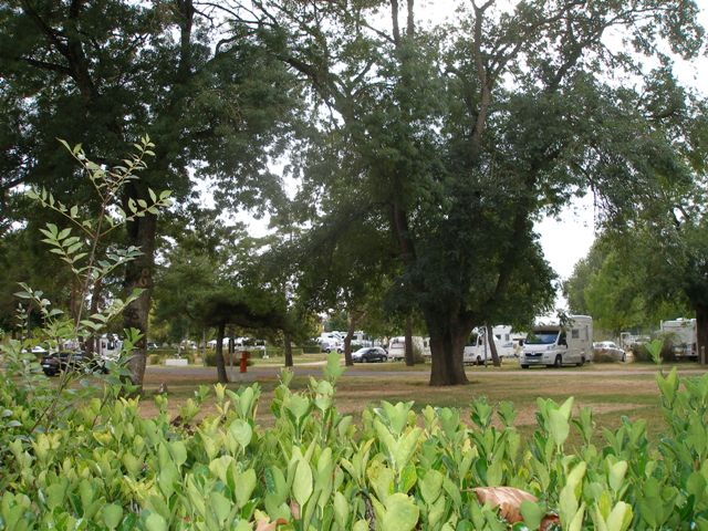 Next to the Loire river