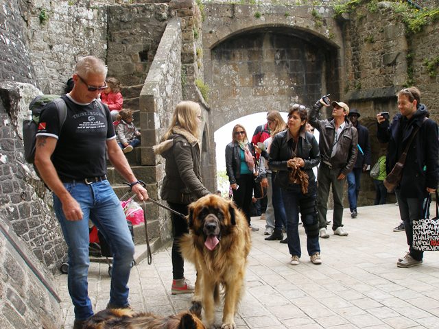 Should of charged for pictures with the Chubstar!